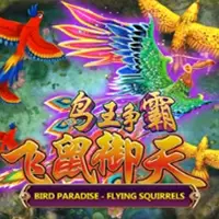 Bird paradise icon