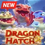 Dragon Hatch2
