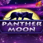 Panther Moon