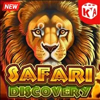 Safari Discovery
