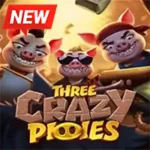Three Crazy Piggies